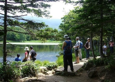 自然公園に関する調査・計画