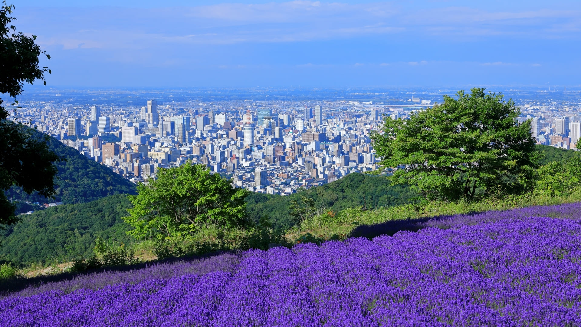 人と自然とが共生する、豊かな北海道を目指して。