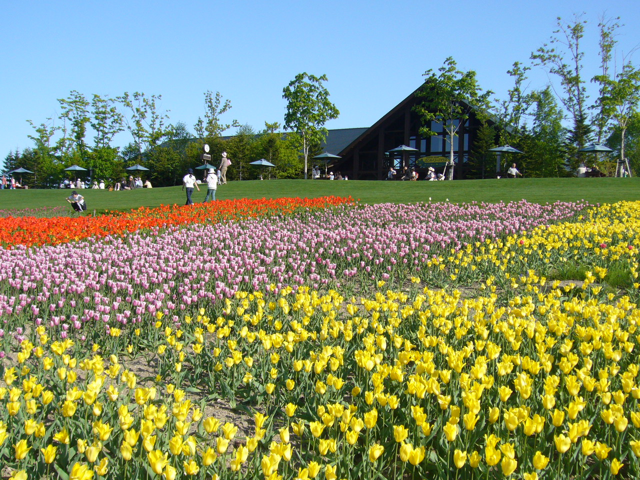 令和5年度の実績（公園・緑地計画）